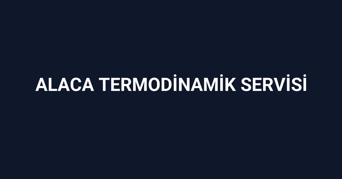 Alaca Termodinamik Servisi